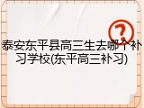 泰安东平县高三生去哪个补习学校(东平高三补习)