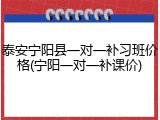 泰安宁阳县一对一补习班价格(宁阳一对一补课价)