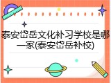 泰安岱岳文化补习学校是哪一家(泰安岱岳补校)