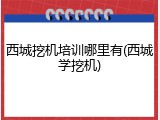 西城挖机培训哪里有(西城学挖机)