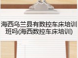 海西乌兰县有数控车床培训班吗(海西数控车床培训)