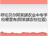 呼伦贝尔阿荣旗农业中专学校哪里有(阿荣旗农校位置)