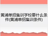 黄浦单招集训学校要什么条件(黄浦单招集训条件)