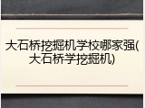 大石桥挖掘机学校哪家强(大石桥学挖掘机)