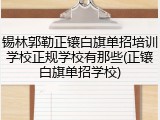 锡林郭勒正镶白旗单招培训学校正规学校有那些(正镶白旗单招学校)