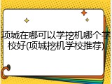 项城在哪可以学挖机哪个学校好(项城挖机学校推荐)