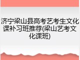 济宁梁山县高考艺考生文化课补习班推荐(梁山艺考文化课班)