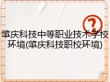 肇庆科技中等职业技术学校环境(肇庆科技职校环境)