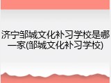济宁邹城文化补习学校是哪一家(邹城文化补习学校)