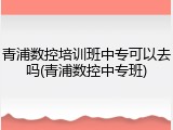 青浦数控培训班中专可以去吗(青浦数控中专班)