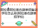 阿拉善阿拉善右旗单招集训学校怎么样(阿拉善右旗单招学校)