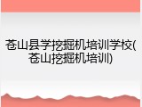 苍山县学挖掘机培训学校(苍山挖掘机培训)