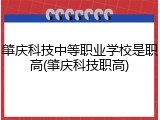 肇庆科技中等职业学校是职高(肇庆科技职高)