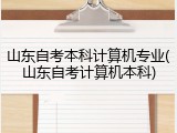 山东自考本科计算机专业(山东自考计算机本科)