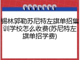 锡林郭勒苏尼特左旗单招集训学校怎么收费(苏尼特左旗单招学费)