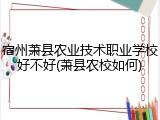 宿州萧县农业技术职业学校好不好(萧县农校如何)