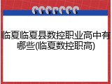 临夏临夏县数控职业高中有哪些(临夏数控职高)