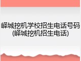 峄城挖机学校招生电话号码(峄城挖机招生电话)