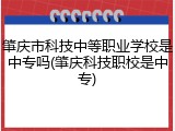 肇庆市科技中等职业学校是中专吗(肇庆科技职校是中专)