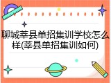 聊城莘县单招集训学校怎么样(莘县单招集训如何)