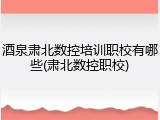 酒泉肃北数控培训职校有哪些(肃北数控职校)