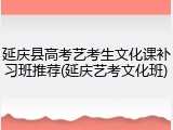 延庆县高考艺考生文化课补习班推荐(延庆艺考文化班)