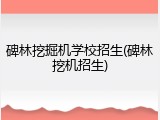 碑林挖掘机学校招生(碑林挖机招生)