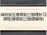 潍坊安丘寒假初三物理补习课程(寒假初三物理辅导)