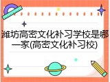 潍坊高密文化补习学校是哪一家(高密文化补习校)