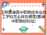 玉树囊谦县中职数控专业技工学校怎么样在哪里(囊谦中职数控校址)