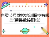 自贡荣县数控培训职校有哪些(荣县数控职校)