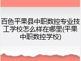 百色平果县中职数控专业技工学校怎么样在哪里(平果中职数控学校)