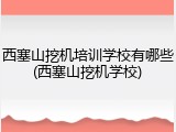 西塞山挖机培训学校有哪些(西塞山挖机学校)