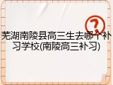 芜湖南陵县高三生去哪个补习学校(南陵高三补习)