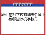 城中挖机学校有哪些("城中有哪些挖机学校")