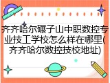 齐齐哈尔碾子山中职数控专业技工学校怎么样在哪里(齐齐哈尔数控技校地址)