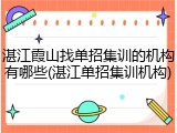 湛江霞山找单招集训的机构有哪些(湛江单招集训机构)