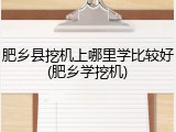 肥乡县挖机上哪里学比较好(肥乡学挖机)