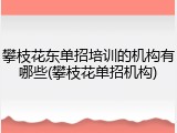 攀枝花东单招培训的机构有哪些(攀枝花单招机构)