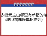 赤峰元宝山哪里有单招的培训机构(赤峰单招培训)