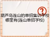 葫芦岛连山的单招集训学校哪里有(连山单招学校)