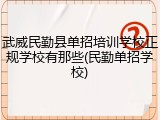 武威民勤县单招培训学校正规学校有那些(民勤单招学校)
