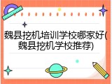 魏县挖机培训学校哪家好(魏县挖机学校推荐)