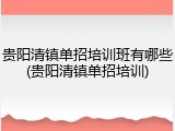 贵阳清镇单招培训班有哪些(贵阳清镇单招培训)