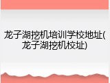 龙子湖挖机培训学校地址(龙子湖挖机校址)
