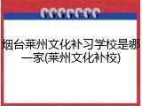烟台莱州文化补习学校是哪一家(莱州文化补校)