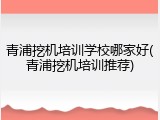 青浦挖机培训学校哪家好(青浦挖机培训推荐)