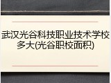 武汉光谷科技职业技术学校多大(光谷职校面积)