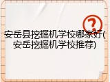安岳县挖掘机学校哪家好(安岳挖掘机学校推荐)