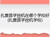 扎囊县学挖机在哪个学校好(扎囊县学挖机学校)